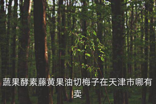 蔬果酵素藤黃果油切梅子在天津市哪有賣