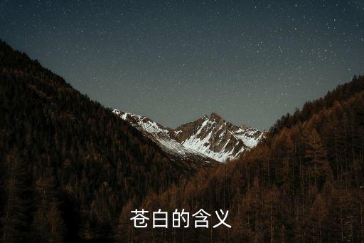 蒼白的含義
