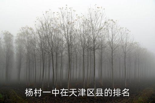 楊村一中在天津區縣的排名