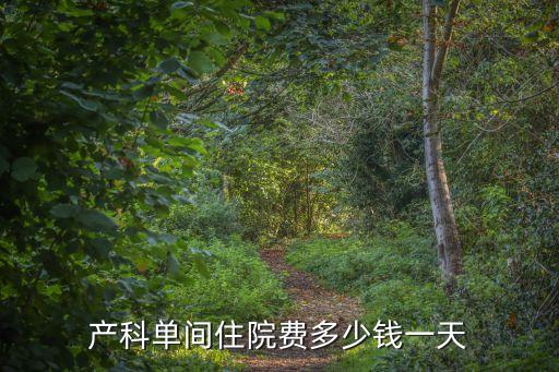 產科單間住院費多少錢一天