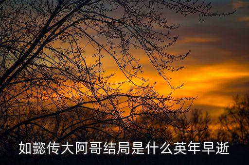 如懿傳大阿哥結(jié)局是什么英年早逝