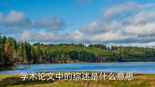 論文綜述是什么，學術(shù)論文中的綜述是什么意思