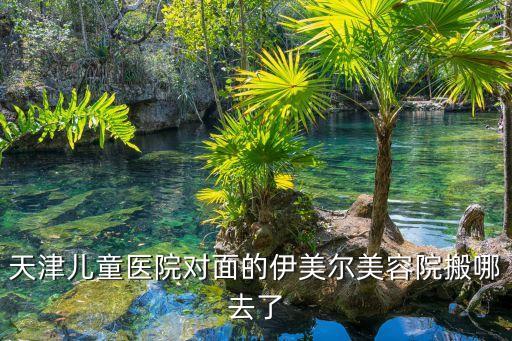 天津市伊美爾祛斑美容機構，大家幫忙推薦天津最好的祛斑機構推薦一下好不好