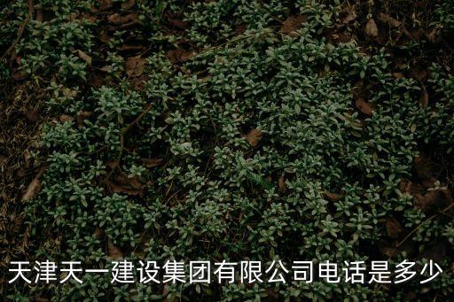 天津天一建設集團有限公司電話是多少