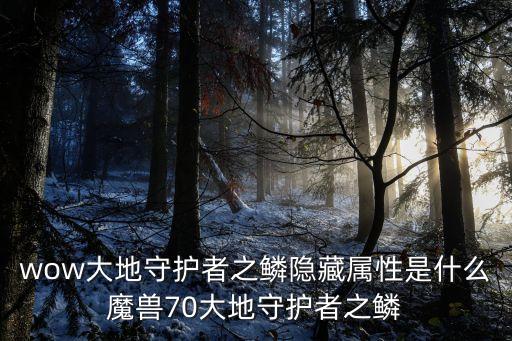 wow大地守護者之鱗隱藏屬性是什么魔獸70大地守護者之鱗