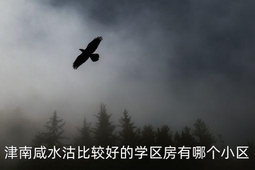 天津市津南區咸水沽華郡地產，津南咸水沽比較好的學區房有哪個小區