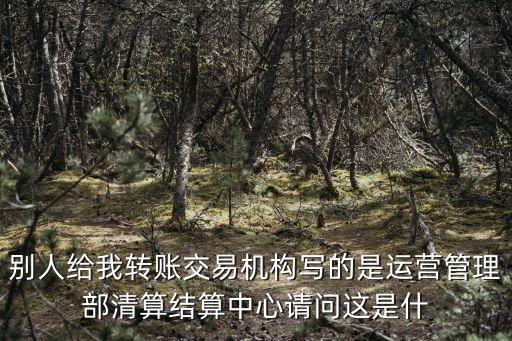 別人給我轉賬交易機構寫的是運營管理部清算結算中心請問這是什