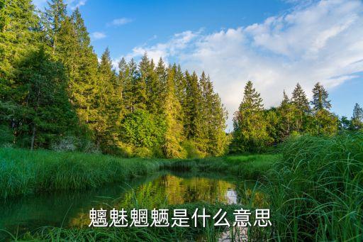 魑魅魍魎是什么意思
