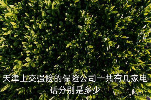 天津上交強險的保險公司一共有幾家電話分別是多少