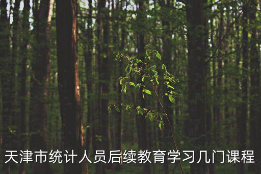 天津市委計局雷平，天津市統計人員后續教育學習幾門課程