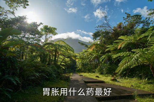 胃脹用什么藥最好