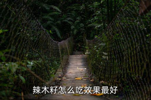 辣木籽的食用方法，辣木籽怎么吃是正確的 公布辣木籽的多種食用方法