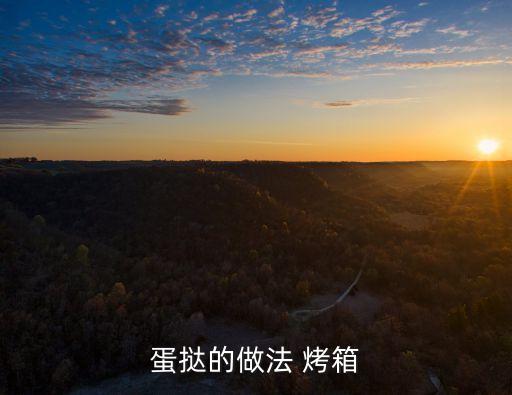 蛋撻的做法 烤箱