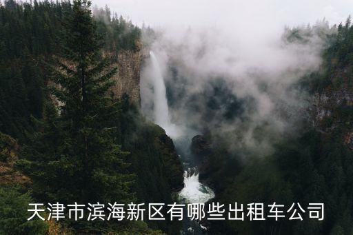 天津市濱海新區有哪些出租車公司