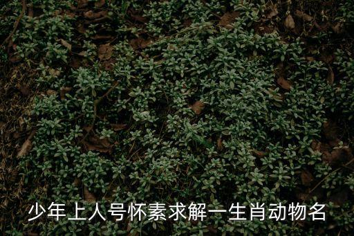 少年上人號懷素求解一生肖動物名