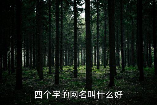四個(gè)字的網(wǎng)名叫什么好