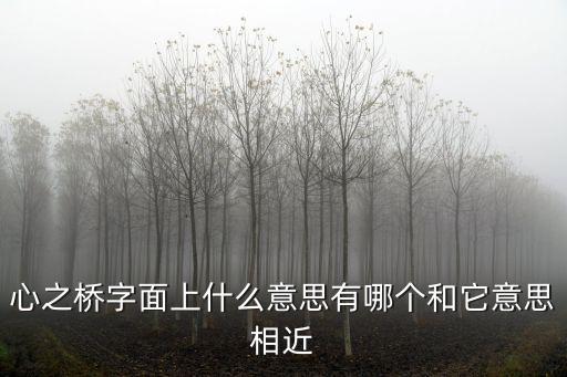 心之橋字面上什么意思有哪個和它意思相近