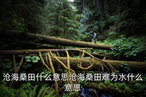 滄海桑田什么意思滄海桑田難為水什么意思