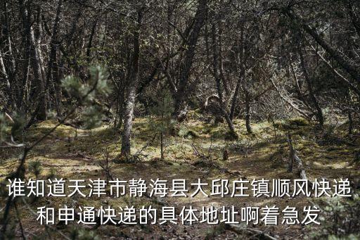 誰知道天津市靜海縣大邱莊鎮順風快遞和申通快遞的具體地址啊著急發