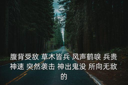腹背受敵什么意思， 背受敵