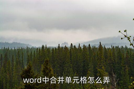 word中合并單元格怎么弄