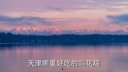 天津哪里好吃的叫花雞