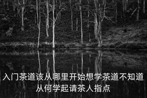 入門茶道該從哪里開始想學茶道不知道從何學起請茶人指點