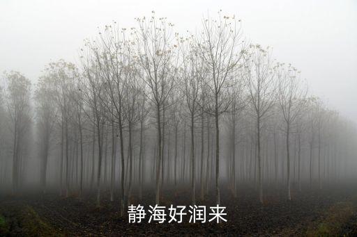 靜海好潤來