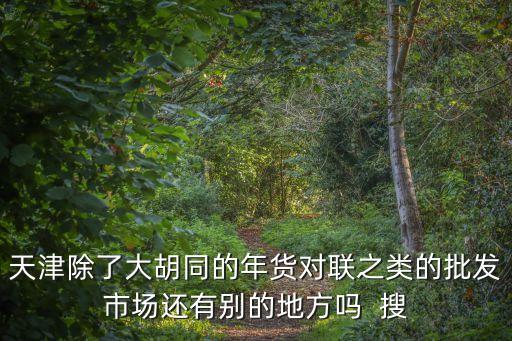 天津除了大胡同的年貨對(duì)聯(lián)之類(lèi)的批發(fā)市場(chǎng)還有別的地方嗎  搜