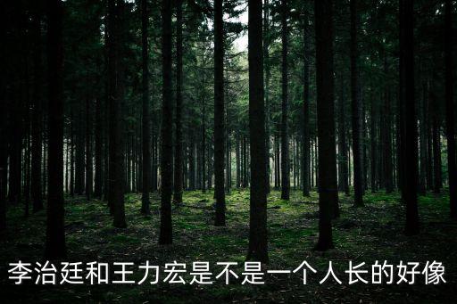 李治廷和王力宏，王力宏和李治廷是不是長得很像