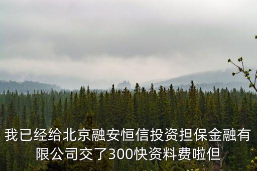 天津市賽達恒信融資擔保有限公司，YuSung 是什么公司在天津哪里