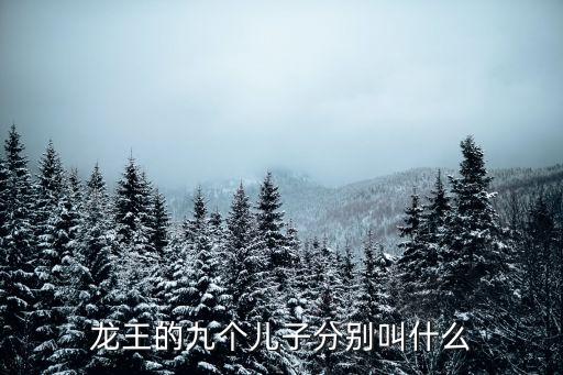 龍王的九個兒子分別叫什么