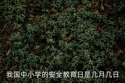 我國中小學的安全教育日是幾月幾日