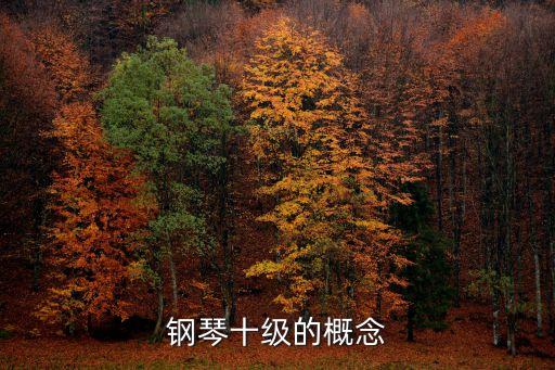 鋼琴10級，鋼琴十級是什么概念