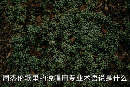 rap專業術語，rap是什么意思