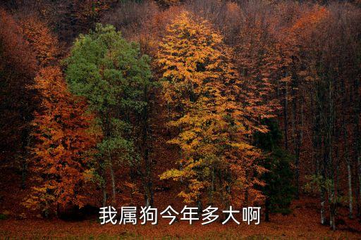 我屬狗今年多大啊