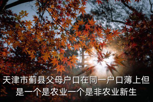 天津市薊縣父母戶口在同一戶口薄上但是一個是農業(yè)一個是非農業(yè)新生