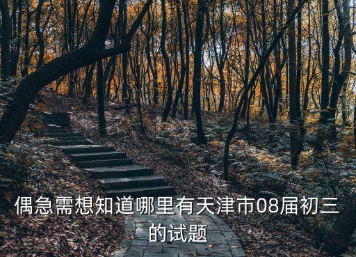 天津市和平區二模2020九年級，偶急需想知道哪里有天津市08屆初三的試題