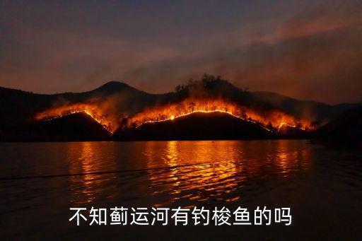 不知薊運(yùn)河有釣梭魚(yú)的嗎