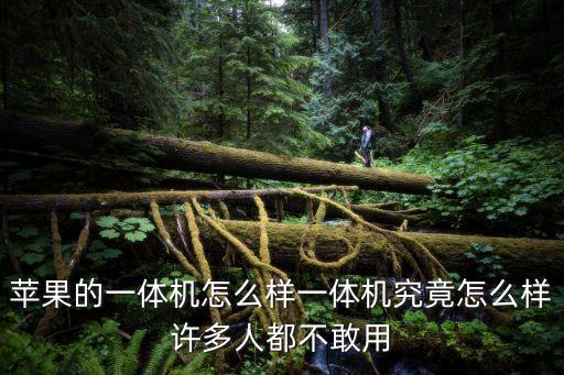 蘋果的一體機怎么樣一體機究竟怎么樣許多人都不敢用