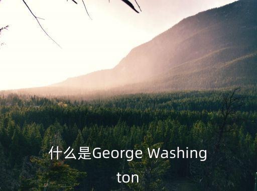 什么是George Washington