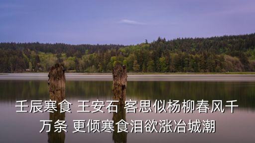 壬辰寒食 王安石 客思似楊柳春風千萬條 更傾寒食淚欲漲冶城潮