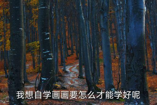 我想自學畫畫要怎么才能學好呢