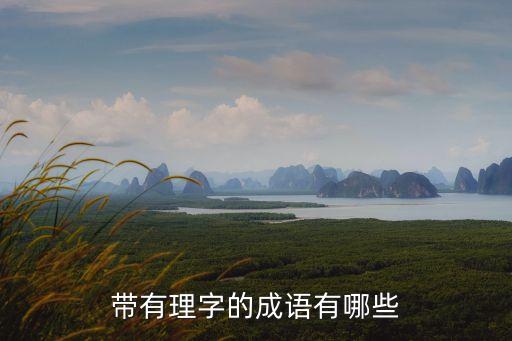 帶有理字的成語有哪些