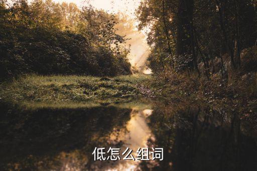 低怎么組詞
