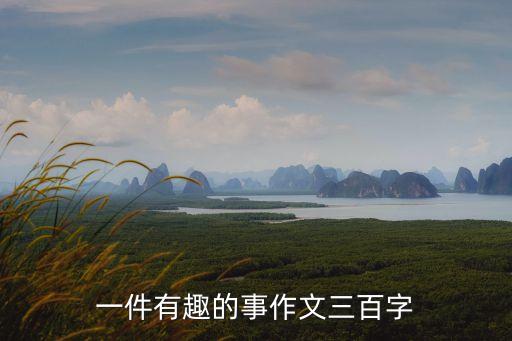 一件有趣的事作文三百字