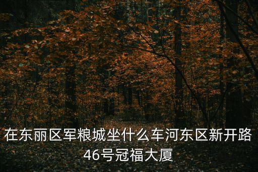 在東麗區軍糧城坐什么車河東區新開路46號冠福大廈