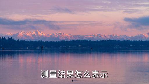 測(cè)量結(jié)果怎么表示