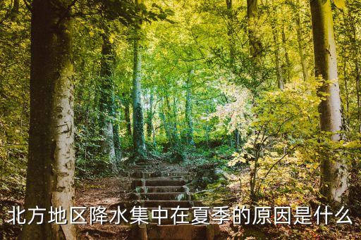 北方地區(qū)降水集中在夏季的原因是什么