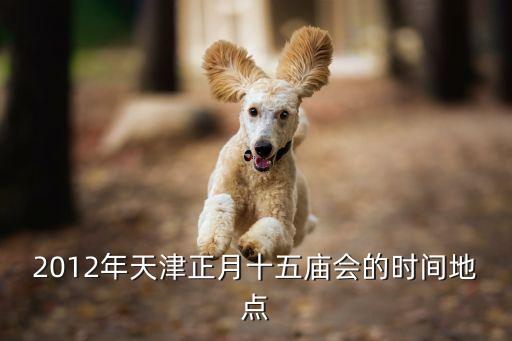 2012年天津正月十五廟會的時間地點